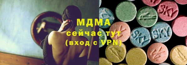 шишки Апатиты