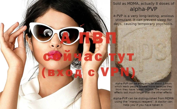 шишки Апатиты