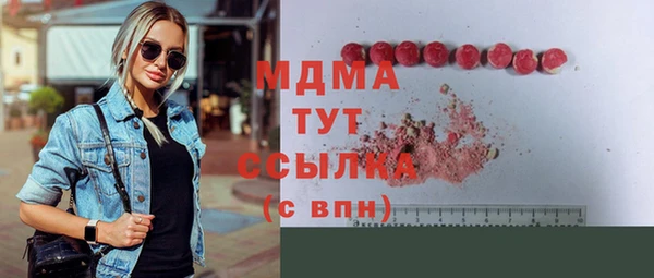 индика Анжеро-Судженск
