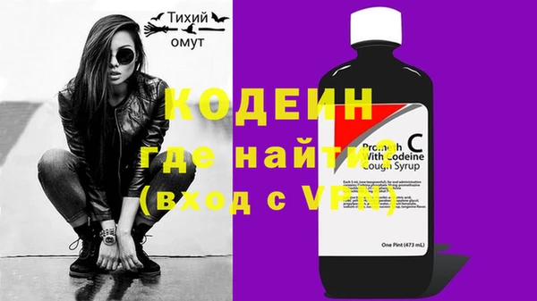 индика Анжеро-Судженск