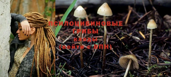 прущая мука Бердск