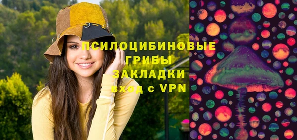 индика Анжеро-Судженск
