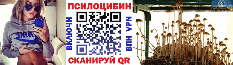 Галлюциногенные грибы Cubensis  Зарайск 