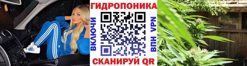Бошки марихуана Amnesia  Зарайск 